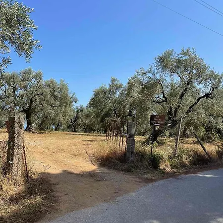 Alexiou Pilion Katigiorgis Case de vacanță Agios Georgios (Thessaly)
